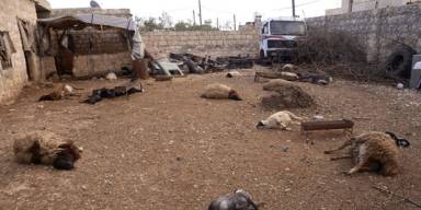 Conflit armé en Syrie et dégâts ‘naturels’