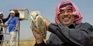 The Role of Nature Conservation in Peacebuilding
