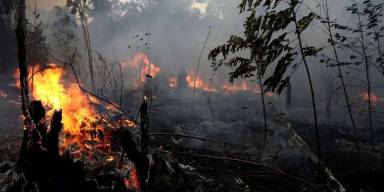 Les guerres contre nature - 1