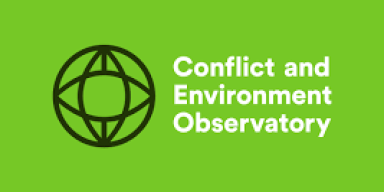 Global carbon accounting
