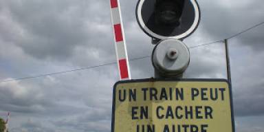  Et si l'arbre climatique cachait la forêt des conflits armés ?